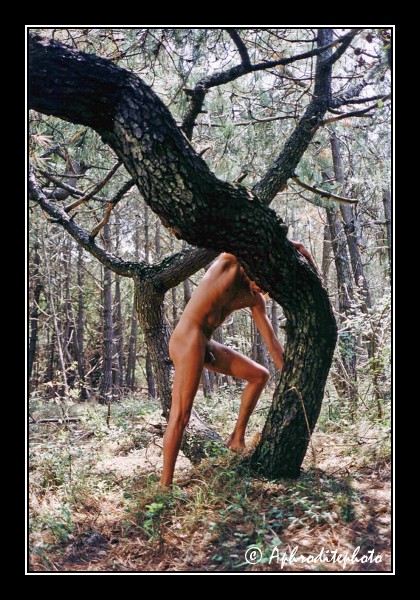 60 Pins des Landes 6